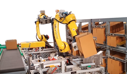 Case Packaging Solutions