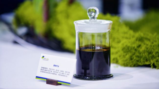 Plasticizers: Modified Cashew Nut Shell Oil & Modified Vegetable Oils