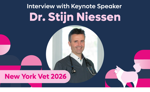 An Interview with Dr. Stijn Niessen