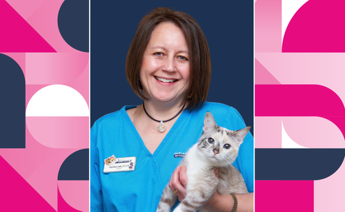 An Interview with Heidi Reuss-Lamky