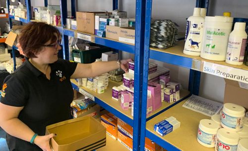 COVID-19: The Hero Vet Nurse Helping Animals Around the World