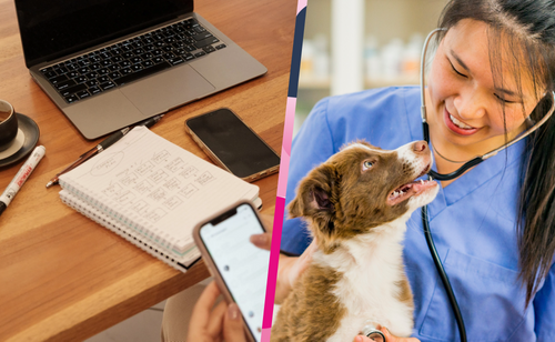 Can Veterinary Practices Turn Marketing into Measurable Growth?