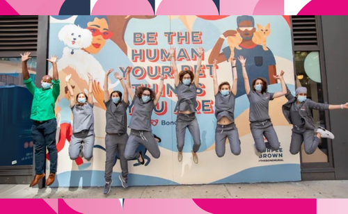 How A Startup Vet Clinic is Thriving During a Pandemic