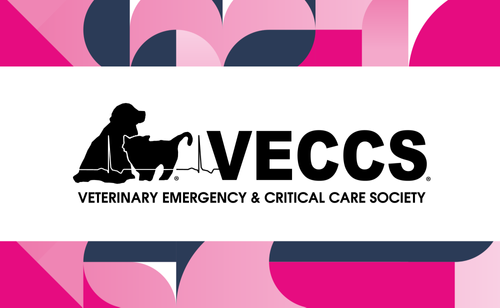 US Vet and VECCS Bring Lifesaving RECOVER Initiative to The New York Vet Show