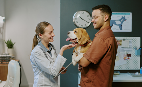 Veterinary Burnout Isn’t Going Away—But the Right Tools Can Help