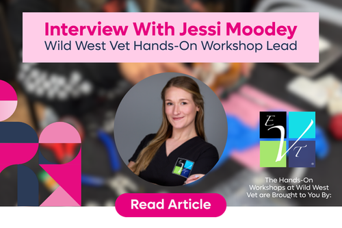 Building Skills, Confidence and Stronger Veterinary Teams with Jessi Moodey