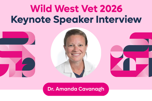 A Conversation with Dr. Amanda Cavanagh – Bringing Clarity to Emergency and Critical Care