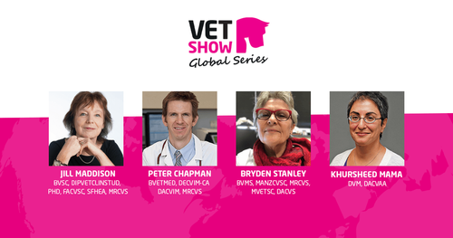 Global Vet Shows Go Online!