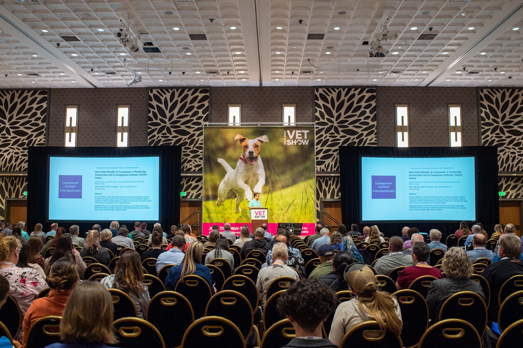 Wild West Vet Show Unveils Exciting Clinical Theater Topics for 2023