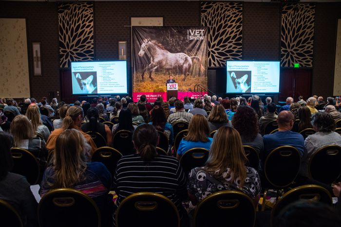 US Vet Shows Launches Registration for Wild West Vet Show and Announces Partnership with Brief Media for the Wild West Vet Clinical Program