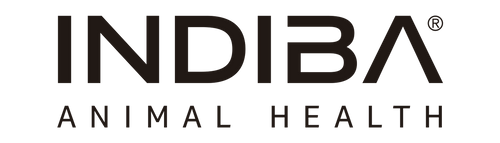 INDIBA' Animal Health - A New Era in Animal Rehabilitation