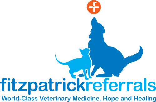 Fitzpatrick Referrals announces LVS attendees