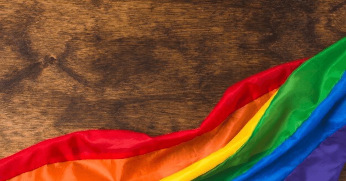 PrideVMC: Inclusion in the Veterinary Community