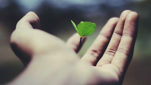 Growing your Veterinary Practice sustainably