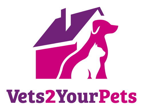 New Venture Seeks Vets For Home Visits