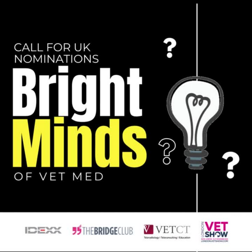 The Bridge Club Bright Minds Award Goes Global - Honouring Innovative Veterinary Thinking at the London Vet Show