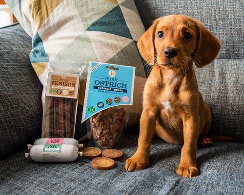 JR Pet Products making their debut at this year's London Vet Show
