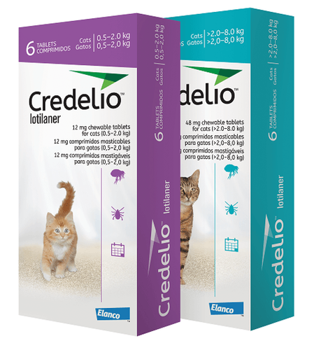 Have you tried Credelio Cat yet?