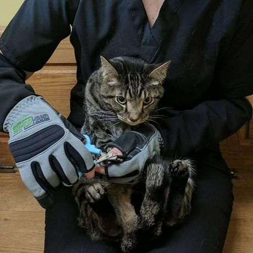 ArmORHand Protective Gloves
