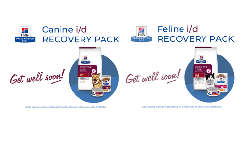 What Are Your Clients Feeding Their Pets Post-Op?