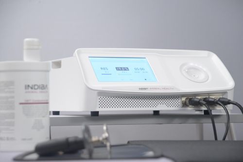 INDIBA' Animal Health, a new technology for an old problem