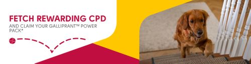 CPD Opportunity: Canine OA is how common in young dogs?