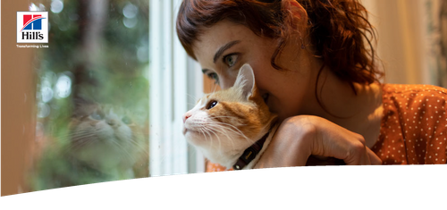Hill's Pet Nutrition: Cats