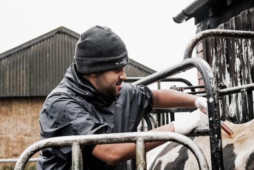 Meet David Charles - Class of 2022 and London Vet Show Speaker