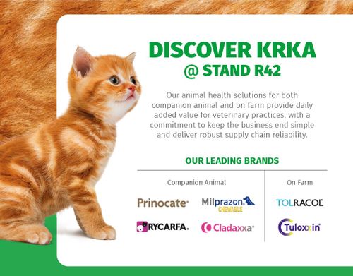 Discover KRKA pharmaceutical solutions for daily added value in practice