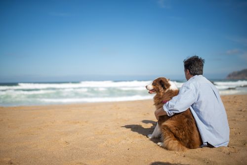 TOP 10 TIPS FOR STRESS-FREE AHCs