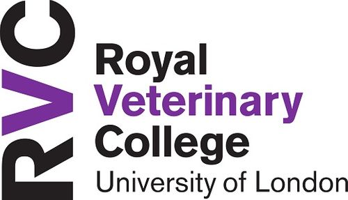 Special Access to RVC’s latest 'Clinical Connections' newsletter