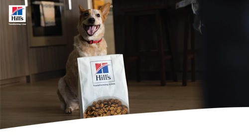 Hills4me, Hills4you: Delivering a simple, quick and rewarding experience for clinics and pet parents
