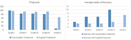 Prognosis and Treatment of Intervertebral Disc Herniation in dogs