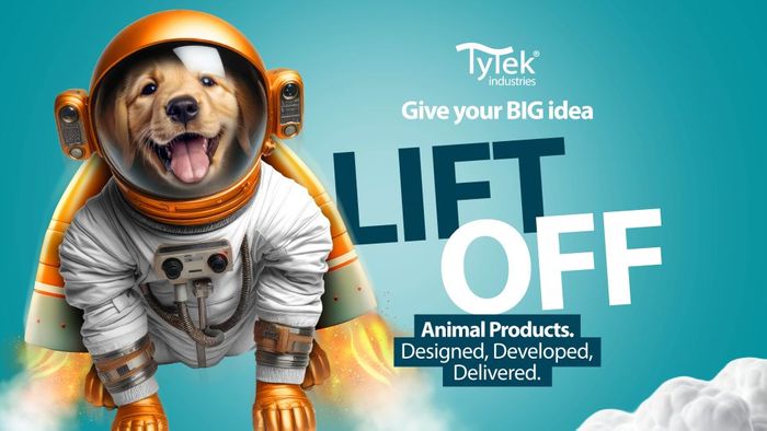 Give Your Big Idea Lift Off!