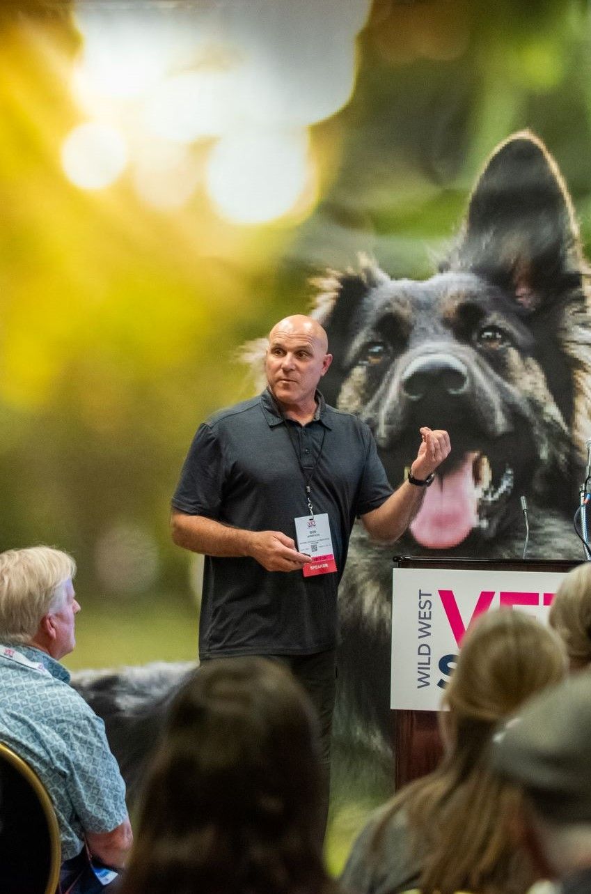 Exciting Dog Show Moments in the Year of Dog Show Times