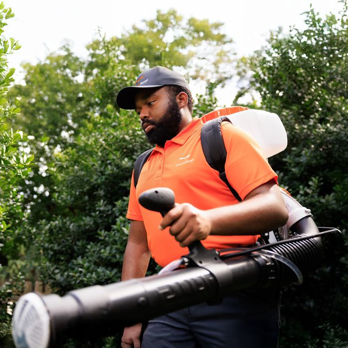 Mosquito Ranger