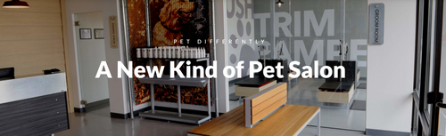 PET DIFFERENTLY - A New Kind of Pet Salon