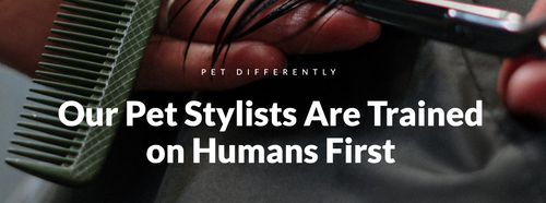 Our Pet Stylists Are Trained on Humans First