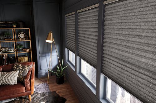 Interior Blinds/Shades