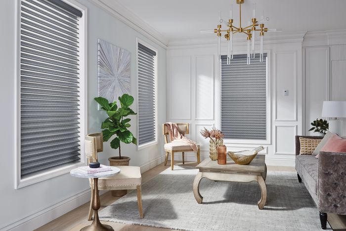 Interior Blinds/Shades
