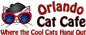 Orlando Cat Cafe