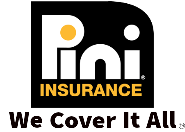 Pini Insurance