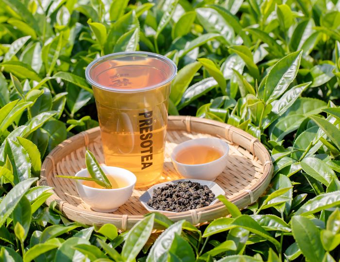 Discover the Future of Premium Tea with Presotea