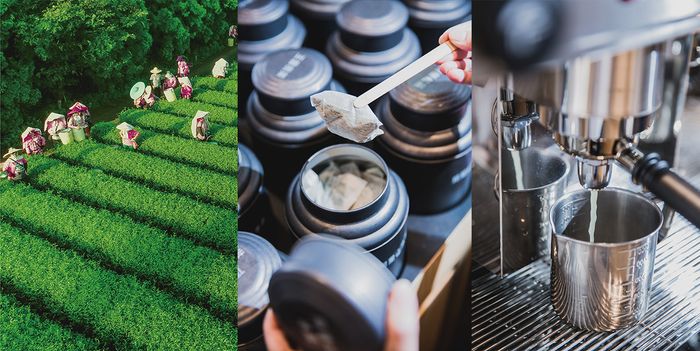 Discover the Future of Premium Tea with Presotea