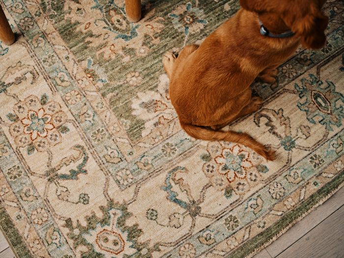 London Persian Rug Company – exceptional handmade rugs