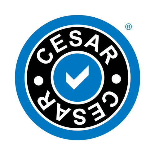 Cesar Scheme