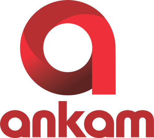 Ankam Play Systems Pvt Ltd