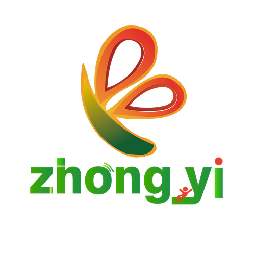 Hunan Zhongyi Amusement Equipment Co., Ltd