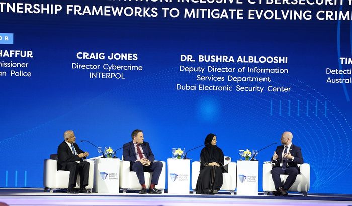 Cybersecurity Strategies and Partnership Frameworks to Mitigate Evolving Crime Forms