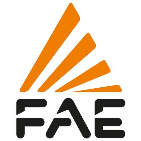 FAE Group